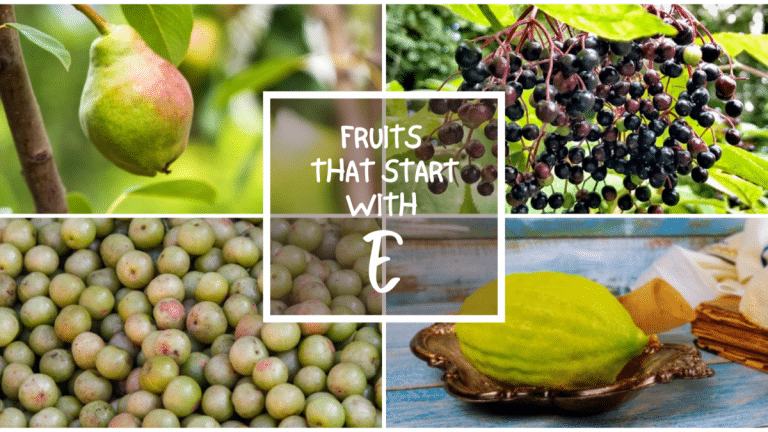 All The Fruits That Start With E