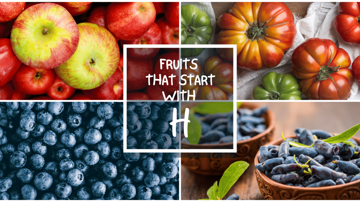 All The Fruits That Start with H