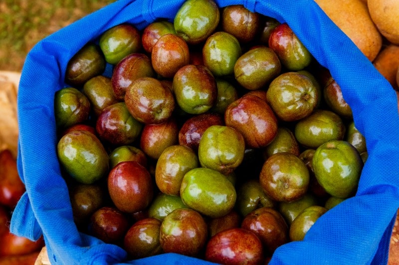 Jocote (Spanish Plum) - Spondias purpura at the asian street market