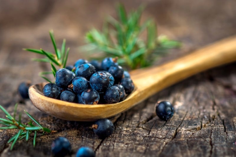 Juniper berries on old wooden table