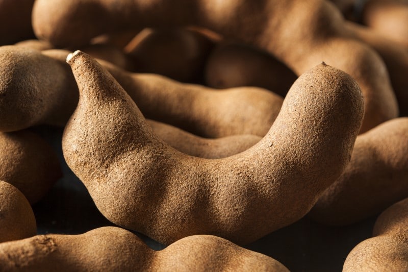 Organic Raw Brown Tamarind on a Background