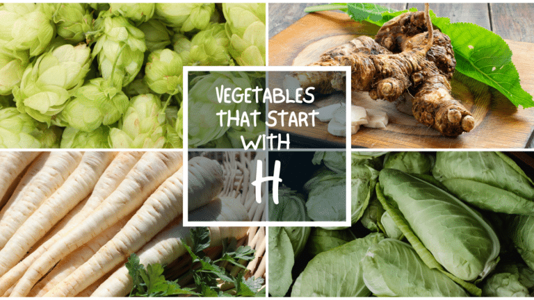 All The Vegetables That Start with H