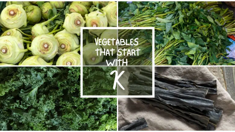 All The Vegetables That Start with K