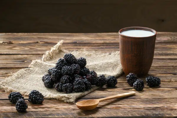 Heap of fresh dewberry on sackcloth table-napkin and clay cup with milk on wooden table