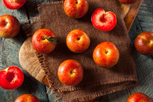 Raw Organic Dinosaur Egg Pluots Ready to Eat