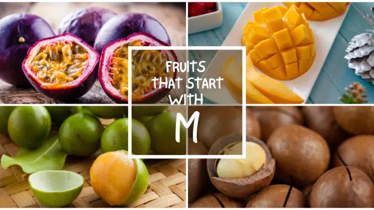 All The Fruits That Start With M