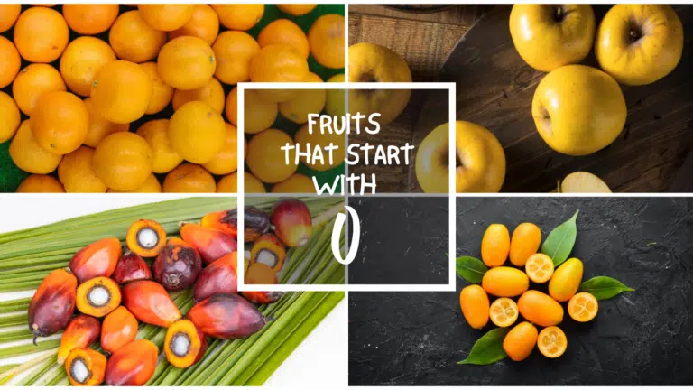All The Fruits That Start With O