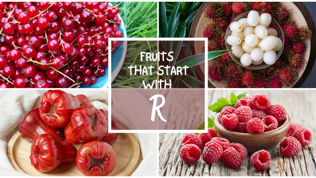 all-the-fruits-that-start-with-r