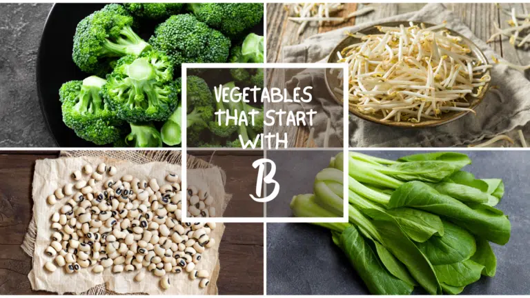 All The Vegetables That Start With B