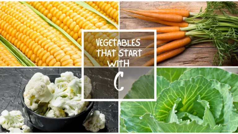 All The Vegetables That Start With C