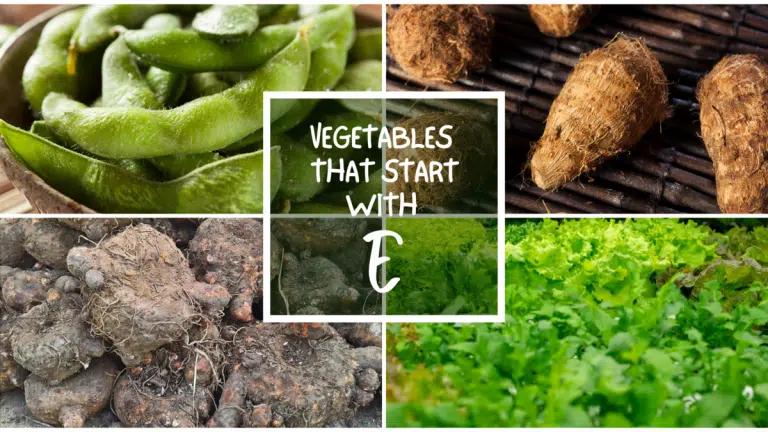 All The Vegetables That Start With E