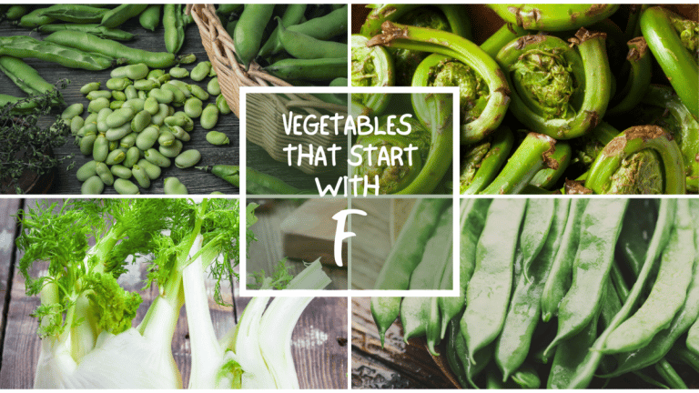 All The Vegetables That Start With F