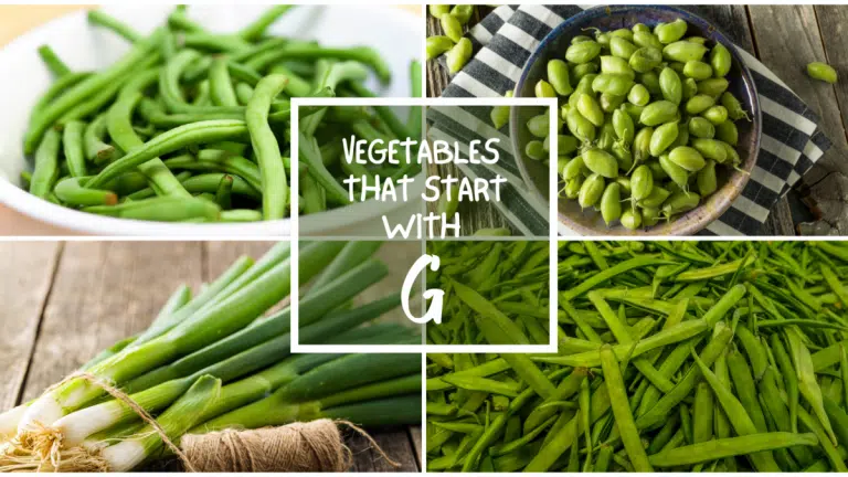 All The Vegetables That Start With G