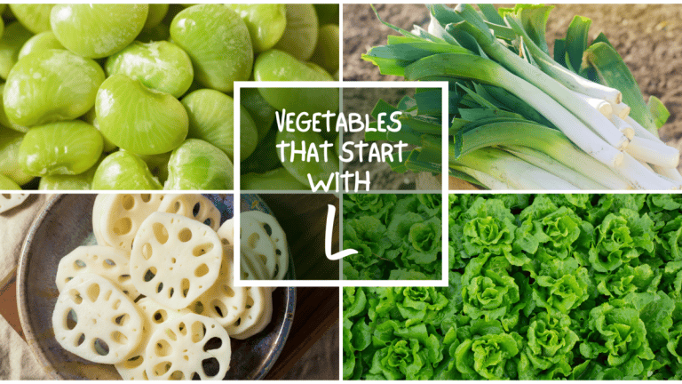 All The Vegetables That Start With L