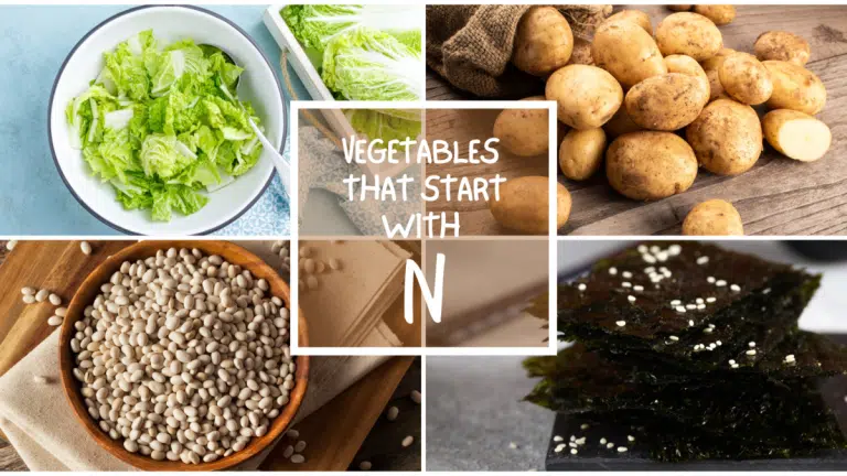 All The Vegetables That Start With N