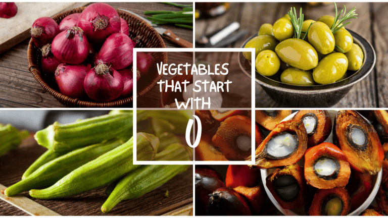 All The Vegetables That Start With O