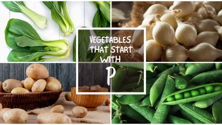 All The Vegetables That Start With P