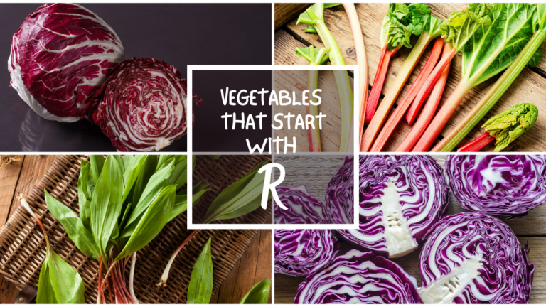 All The Vegetables That Start With R