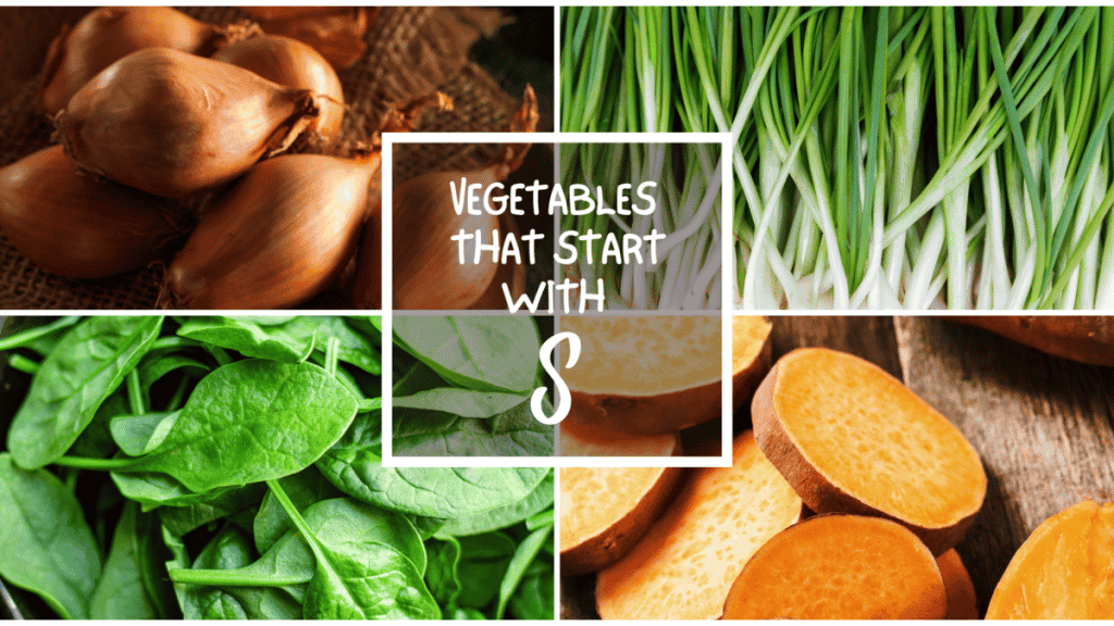 All The Vegetables That Start With X