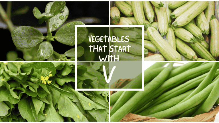 All The Vegetables That Start With V