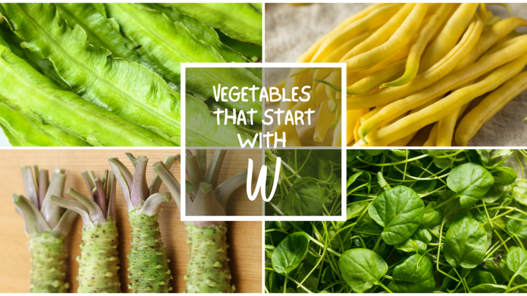 All The Vegetables That Start With X