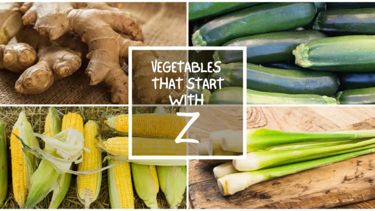 All The Vegetables That Start With Z