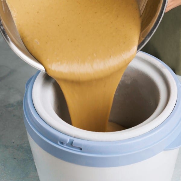 Homemade Black Garlic Ice Cream