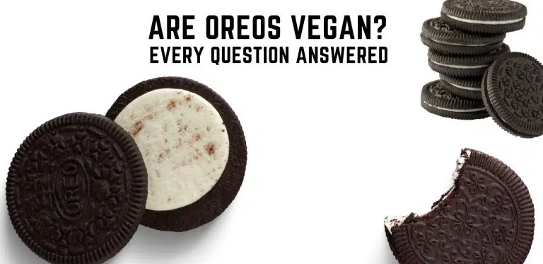 Are Oreos Vegan? Every Question Answered