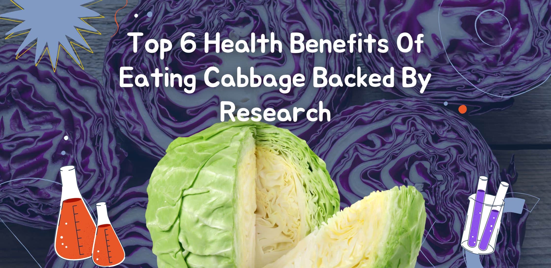 Tom Audreath få øje på halt Top 6 Health Benefits Of Eating Cabbage Backed By Research