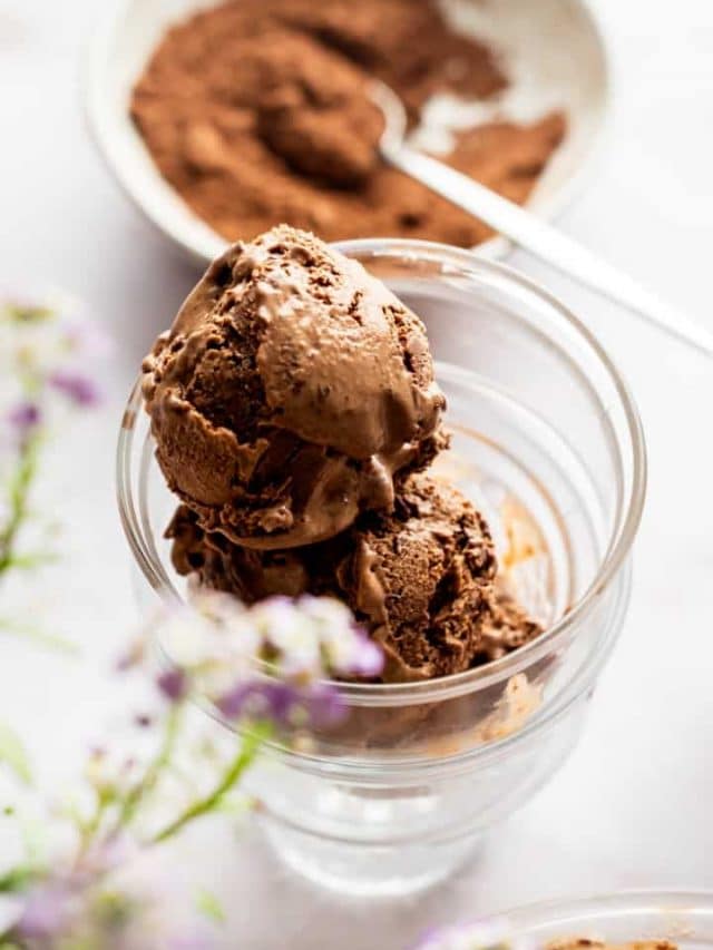 Best Vegan Chocolate Truffle Chip Ice Cream Recipe Story