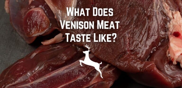 What Does Venison Taste Like?