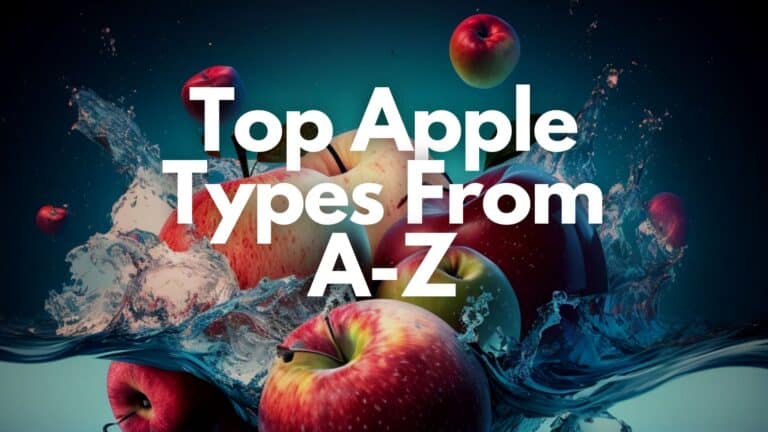 Top 98 Types & Varieties Of Apples From A-Z
