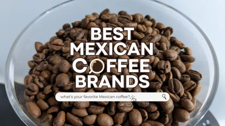 Best Mexican Coffee Brands