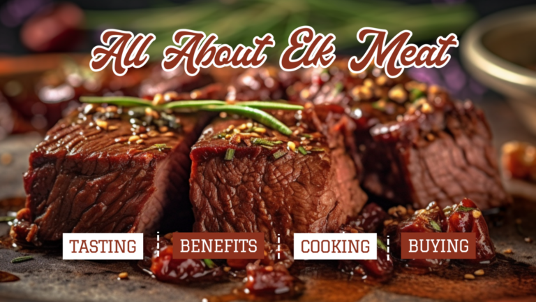 All About Elk Meat