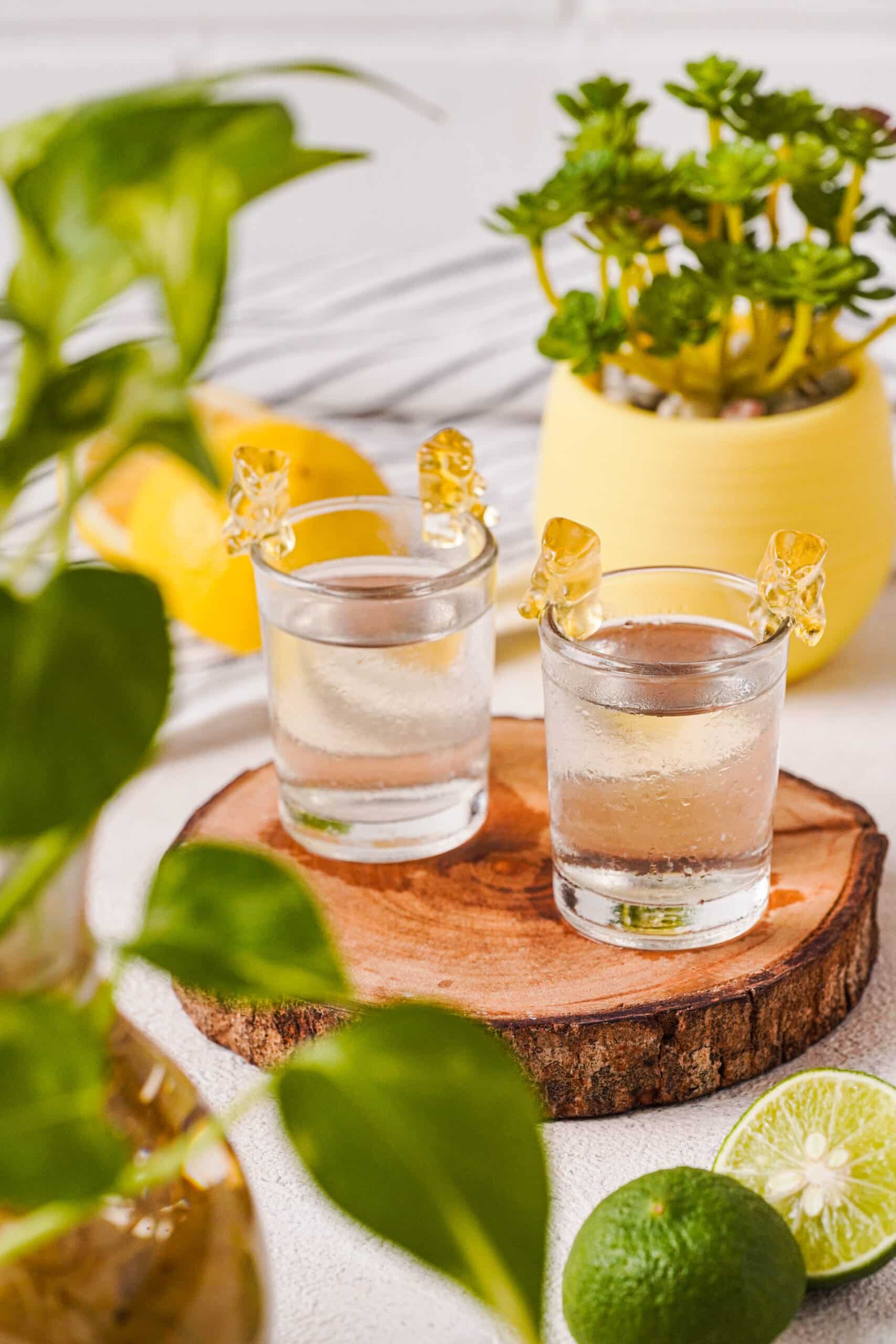 Easy White Gummy Bear Shot