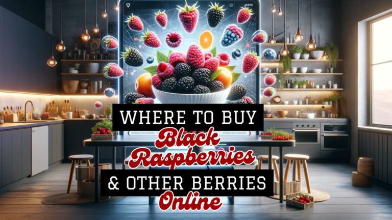 Where to Buy Black Raspberries & Other Berries Online
